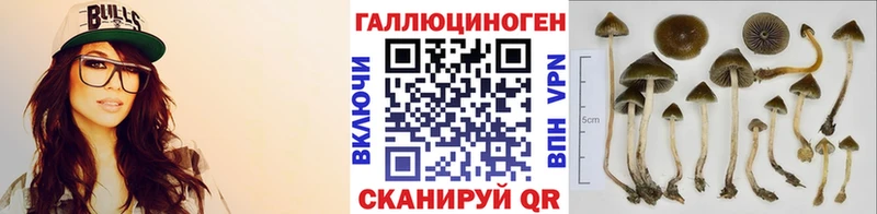 Галлюциногенные грибы мицелий  где купить   Чухлома 